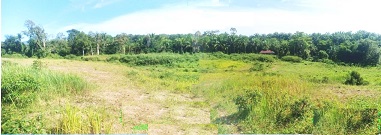 LokasI produksi keripik sampah