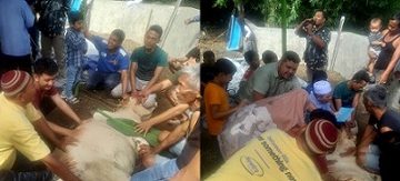 Pemotongan hewan kurban di musholla Al Ikhlas.