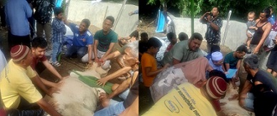 Pemotongan hewan kurban di musholla Al Ikhlas.