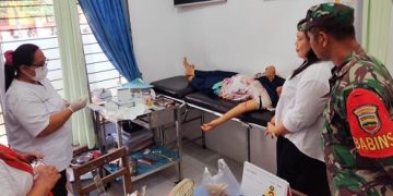 Personel Babinsa melakukan pendampingan