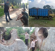 Pelaku dan barang bukti. serta lokasi pencurian