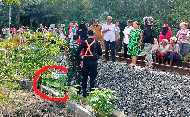 Jenazah korban ditutupi daun pisang
