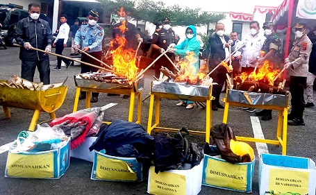 Pemusnahan narkotika jenis ganja