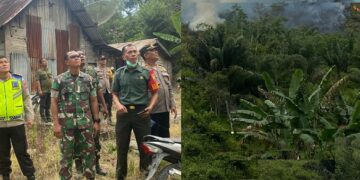 Peninjauan kebakaran hutan