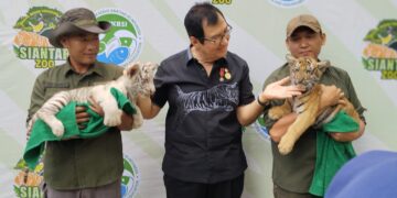 Rahmat Shah (tengah) bersama  Rolan dan Rolin