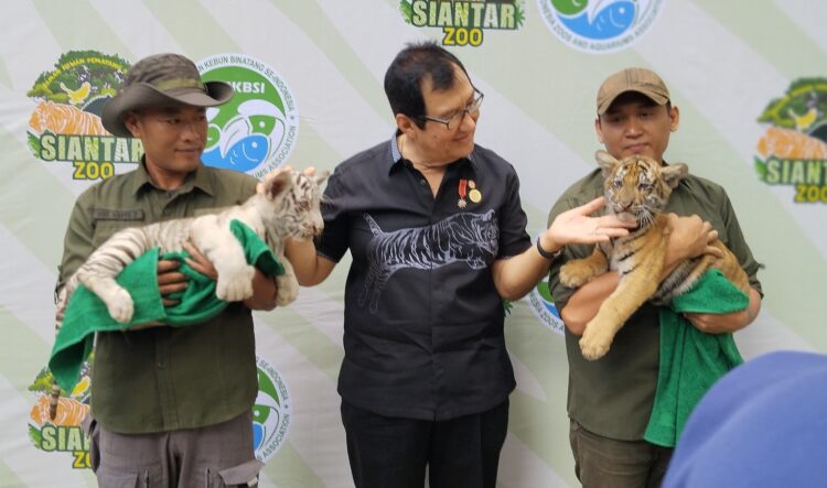 Rahmat Shah (tengah) bersama  Rolan dan Rolin