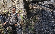 Lahan yang terbakar setelah api padam