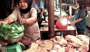 Pedagang ayam potong di Pasar Dwikora