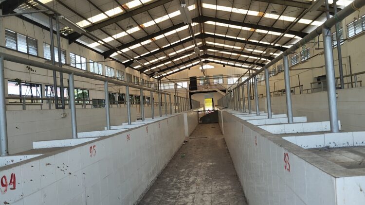 Balairung Rajawali kosong melompong