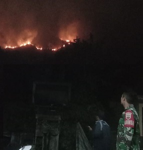 Kebakaraan lereng gunung