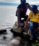 Potongan tubuh di Danau Toba