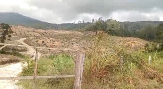 Kawasan hutan yang gundul