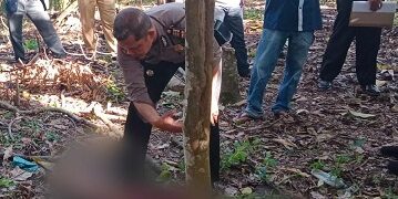 Temuan mayat di ladang kopi