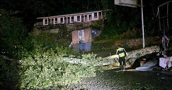 Pohon tumbang melintang di badan jalan
