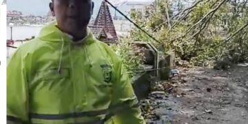 Kapolsek Parapat di lokasi pohon tumbang