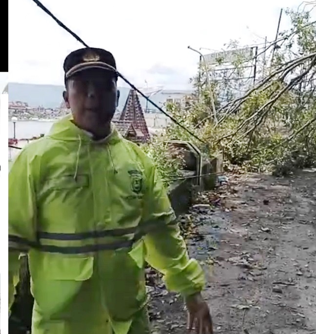 Kapolsek Parapat di lokasi pohon tumbang