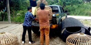 Sebagian barang bukti yang diamankan