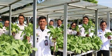 Panen Raya Sayur Hydroponik