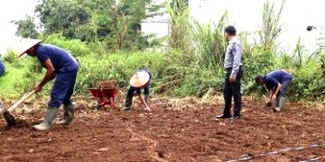 Pemanfaatan lahan  untuk ketahanan pangan
