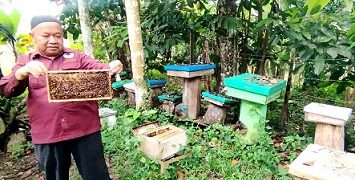 Aam Hasanuddin perlihatkan lebah ternakannya