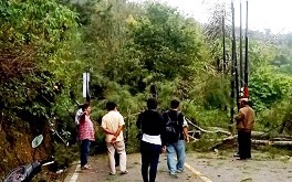 Pohon tumbang yang melintang di badan jalan