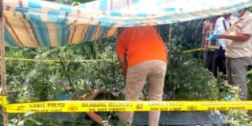 Korban di ladang cabe