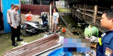 CREATOR: gd-jpeg v1.0 (using IJG JPEG v62), quality = 82