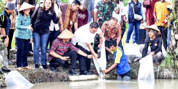 Tabur benih ikan
