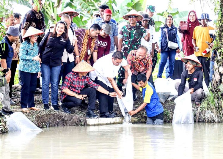 Tabur benih ikan
