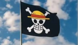 Bendera One Piece