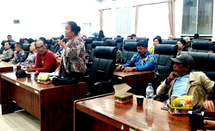 Ketua SEPASI Tiomerlin Sitinjak