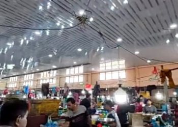 Atap balairung yang sudah diperbaiki