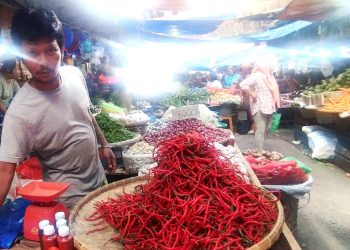 Pedagang cabe merah di Pasar Horas