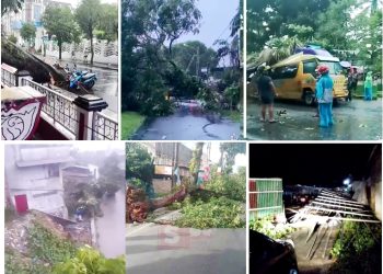 Sejumlah pohon tumbang di beberapa lokasi