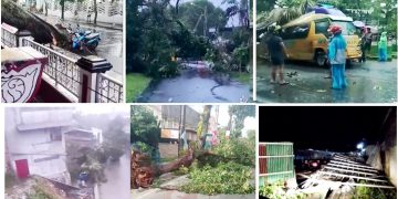 Sejumlah pohon tumbang di beberapa lokasi