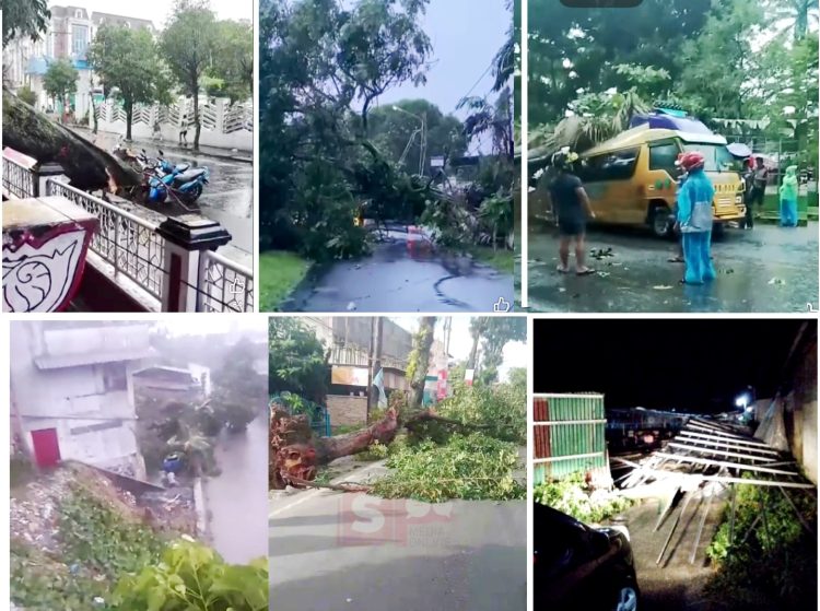 Sejumlah pohon tumbang di beberapa lokasi