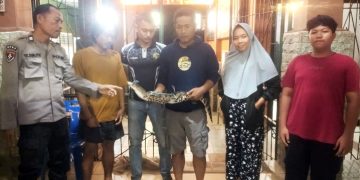 Anak buaya diserahkan ke Taman Hewan