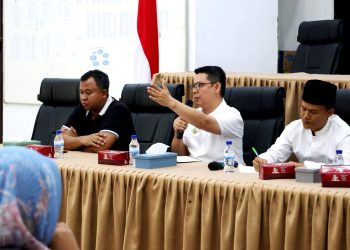 Staf Ahli Bidang Pembangunan M Hamdani Lubis