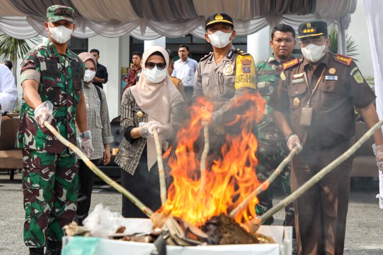 Wali Kota menghadiri pemusnahan barang bukti perkara tindak pidana berdasarkan putusan pengadilan yang telah berkekuatan hukum tetap dan mengikat (ikracht) pada Kejaksaan Negeri (Kejari) Pematang Siantar, di halaman Kantor Kejari Pematang Siantar, Jalan Sutomo, Selasa (28/11/2023) siang.