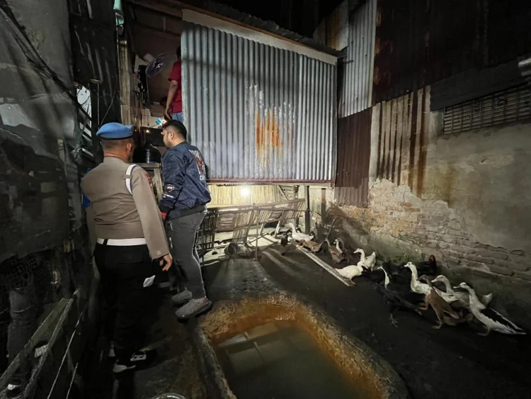 Polrestabes Medan Gerebek Sarang Narkoba Berkedok Kandang Ayam dan Bebek di Medan Denai