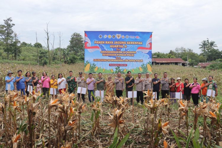 Polres Pematangsiantar Ikuti Panen Raya Jagung Serentak Bersama Presiden Prabowo, Wujud Nyata Dukung Ketahanan Pangan Nasional