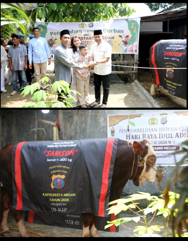 Kapolrestabes Medan Serahkan Sapi “Samson” 650 Kg, 27 Hewan Kurban Disembelih