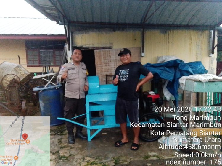 Polri Turun ke Ladang, Bhabinkamtibmas Siantar Marihat Bantu Petani Tingkatkan Produktivitas Jagung