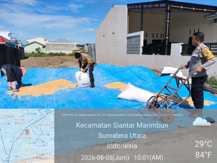 Kapolsek Siantar Selatan Dukung Ketahanan Pangan, Bantu Petani Jemur Hasil Panen Jagung