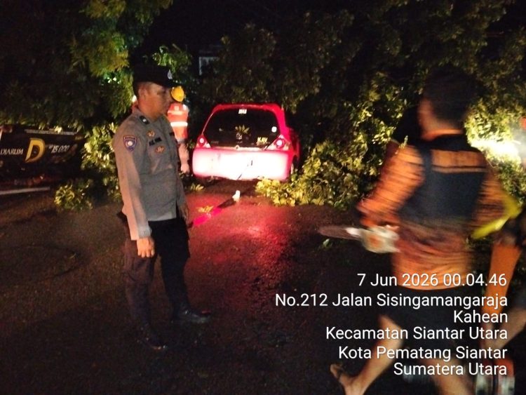 Polsek Siantar Utara Sigap Atasi Pohon Tumbang di Jalan SM Raja, Lalu Lintas Kembali Lancar