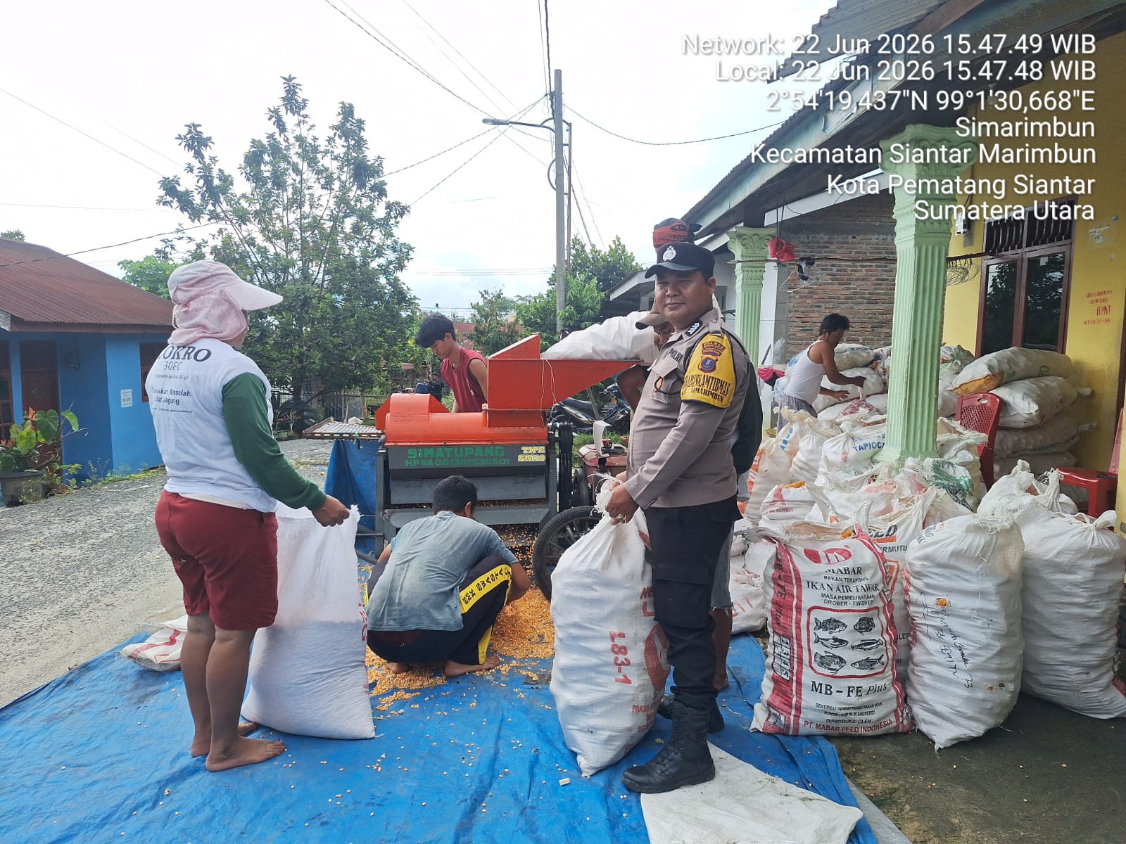 Dampingi Petani di Tengah Tantangan Kemarau, Bhabinkamtibmas Polsek Siantar Marihat Kawal Hasil Panen Jagung Warga