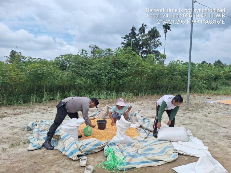 Dukung Ketahanan Pangan, Bhabinkamtibmas Siantar Marihat Dampingi Petani Jagung Uji Kualitas Hasil Panen ke Bulog