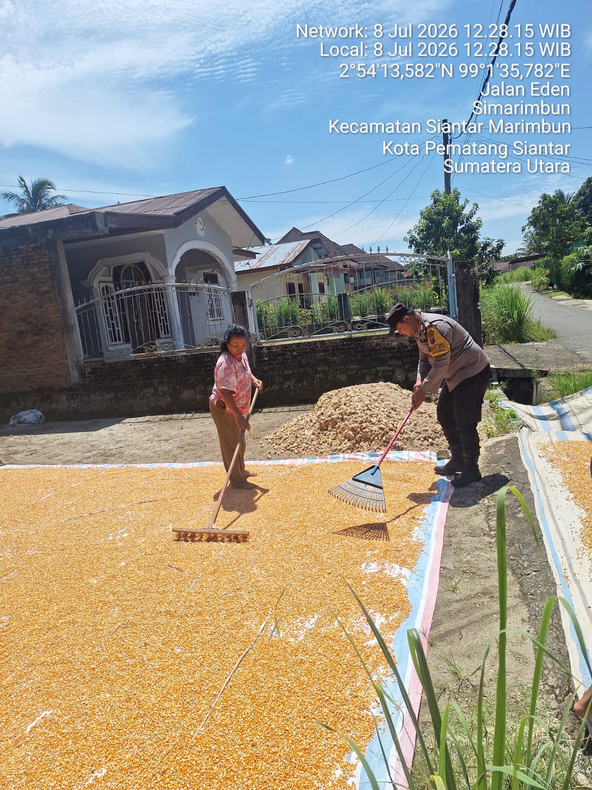 Dukung Ketahanan Pangan, Bhabinkamtibmas Polsek Siantar Marihat Kawal Panen 700 Kilogram Jagung Milik Petani Binaan