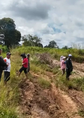 Tanah Pangguruan Diolah Pemilik, Jamilun Sihotang Klaim Kepemilikan Didukung Putusan PN dan SHM