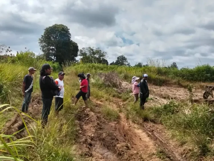 Tanah Pangguruan Diolah Pemilik, Jamilun Sihotang Klaim Kepemilikan Didukung Putusan PN dan SHM